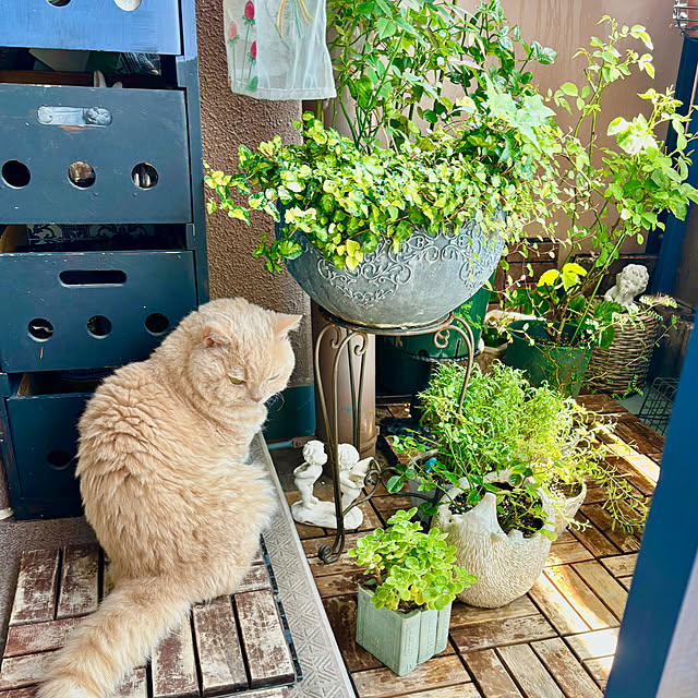 naokoさんの部屋