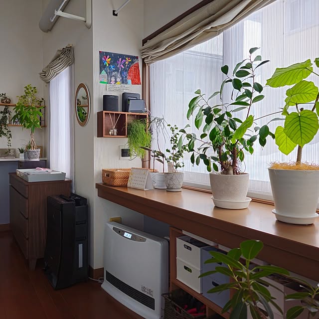 北欧インテリア/北欧/ニトリ/Nインボックス/観葉植物のある暮らし...などのインテリア実例 - 2025-03-09 07:08:20