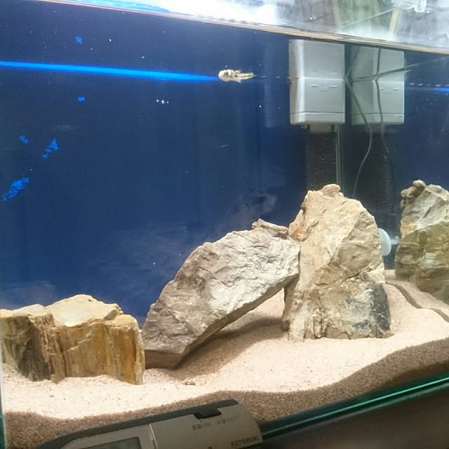 Takashiさんの実例写真