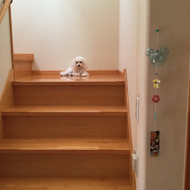 kakoさんの実例写真