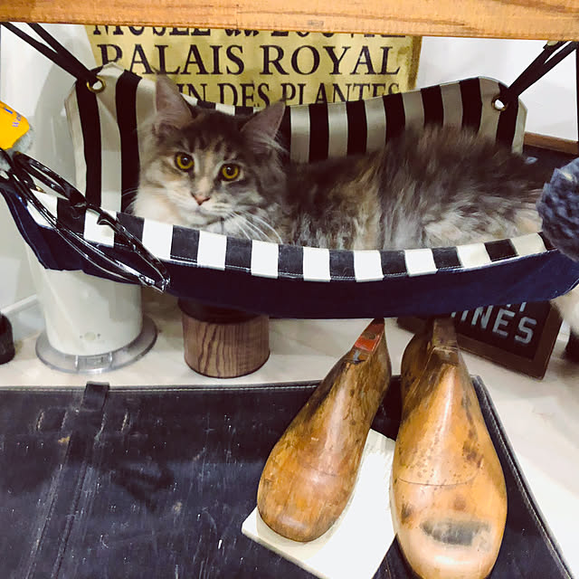 mayumiさんの実例写真