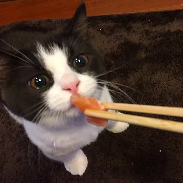 butachanさんの実例写真