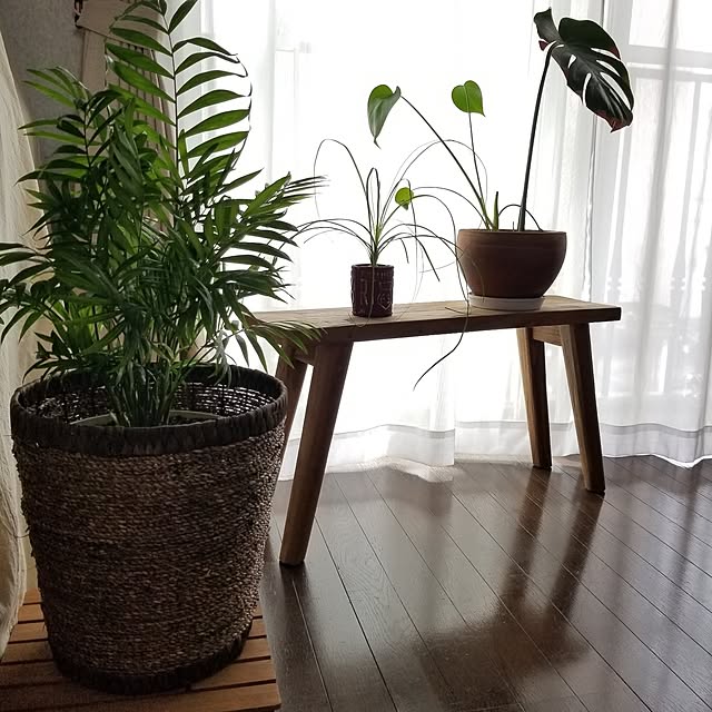 midoriさんの部屋