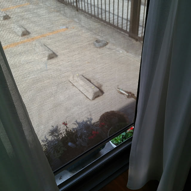 kyukyuさんの実例写真