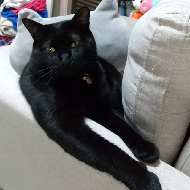 Tさんの実例写真