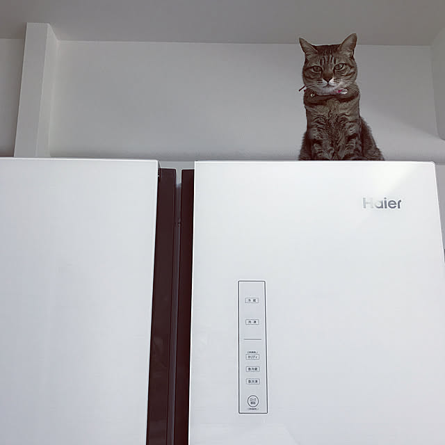 NEKOARUKIさんの実例写真