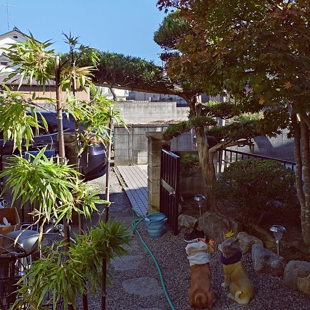 NOAHさんの部屋