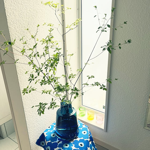sugakoakiraさんの実例写真