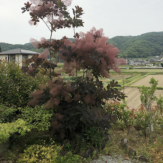 rie.kさんの実例写真