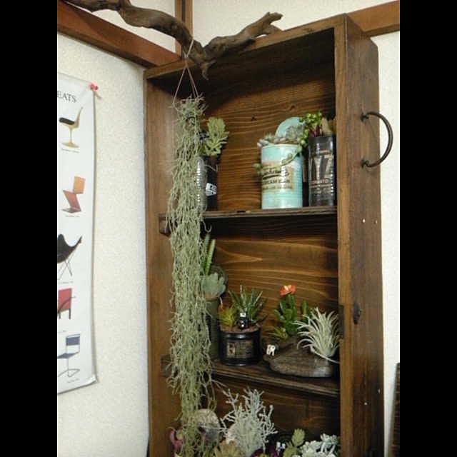 INDOORさんの実例写真