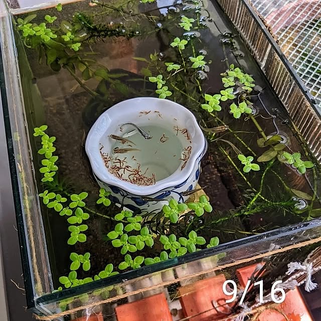 mi-saさんの部屋