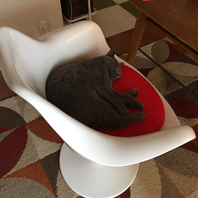 ikettenさんの実例写真