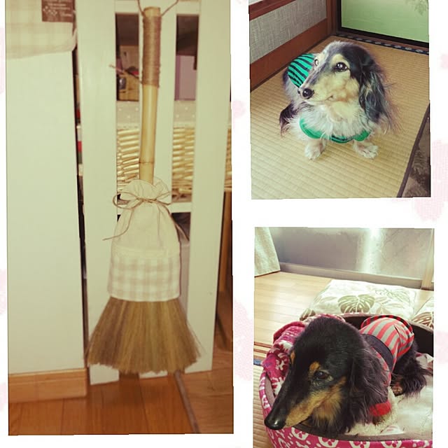 yukikoさんの実例写真