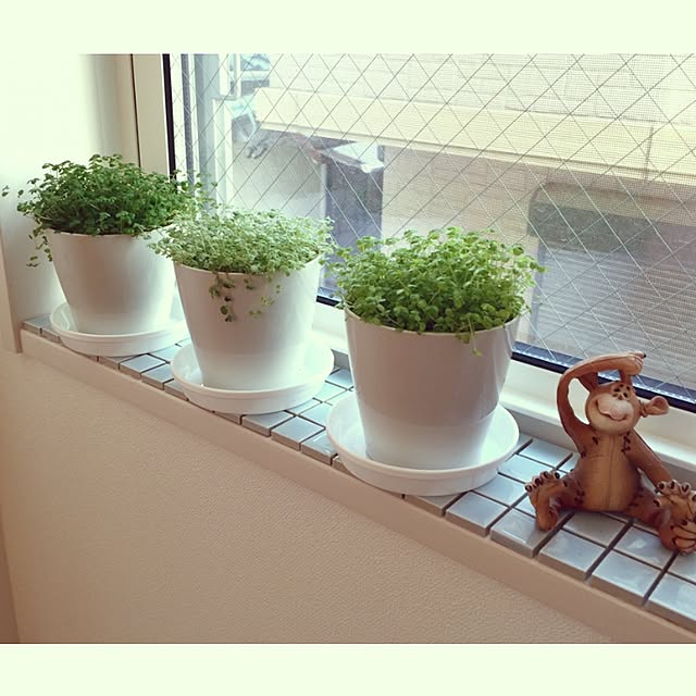 takeboo3さんの実例写真