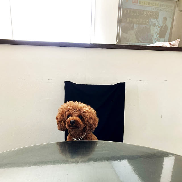 MOMOMAMAさんの実例写真