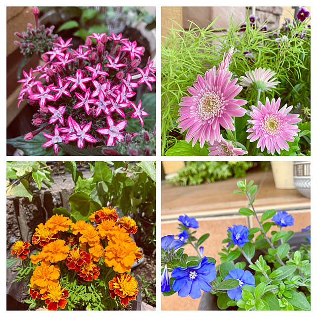 y---iさんの実例写真