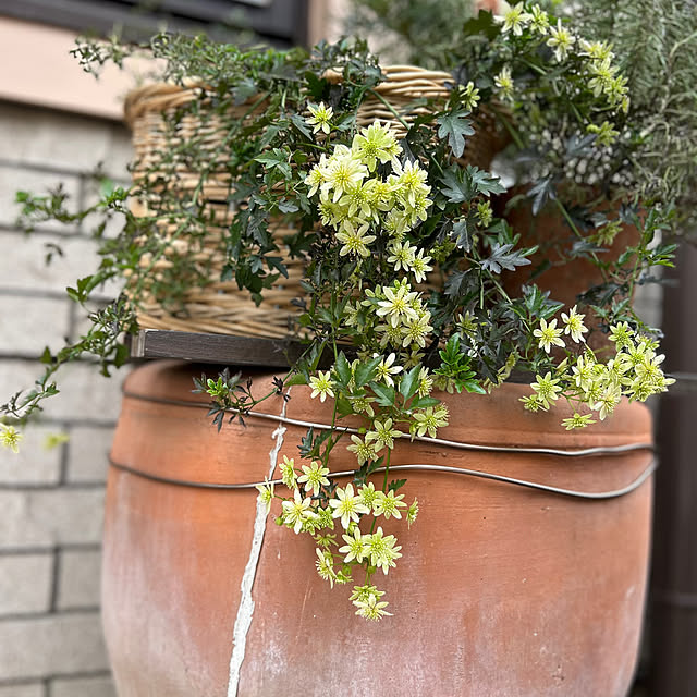botanさんの実例写真