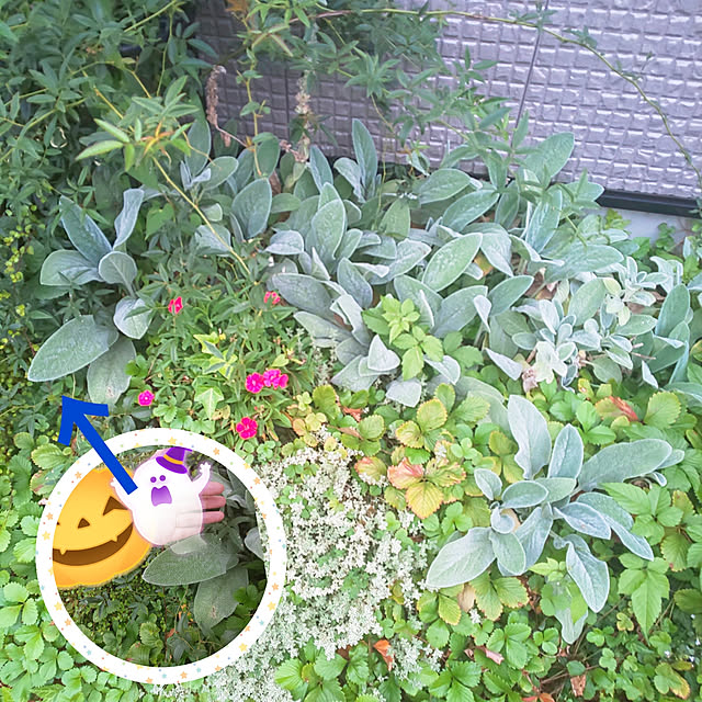 posauruさんの実例写真