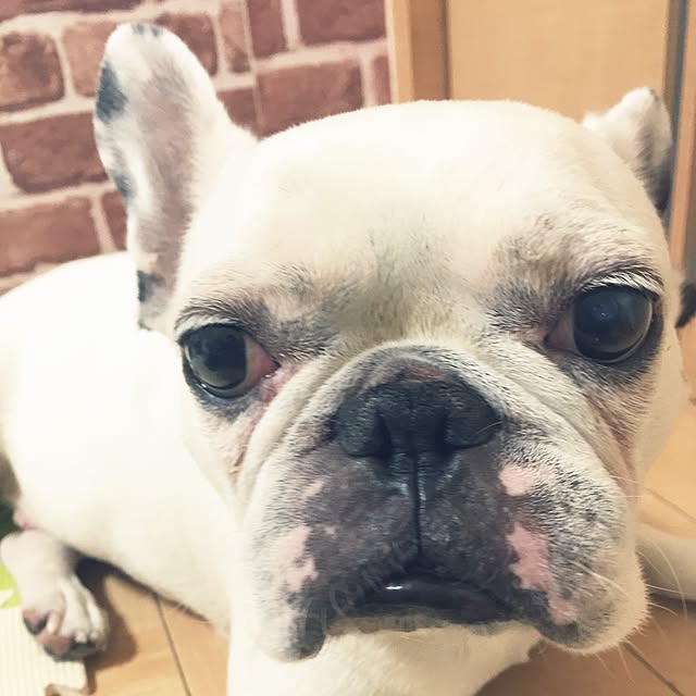 Masamiさんの実例写真