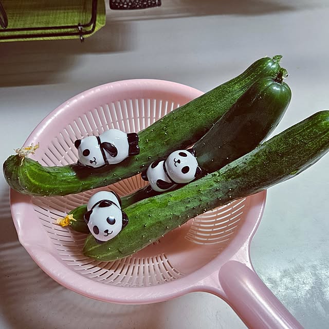mocomocoさんの部屋