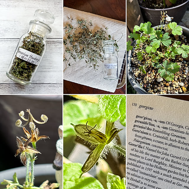 fawnさんの実例写真