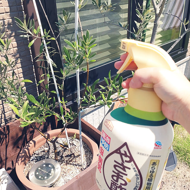 tan5さんの実例写真