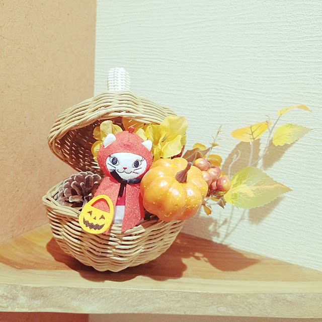 minesako163さんの実例写真