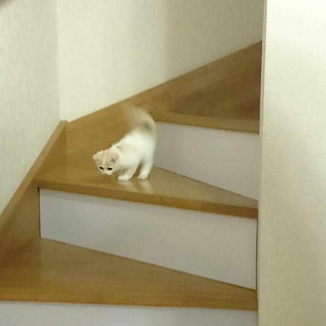 Keikoさんの実例写真