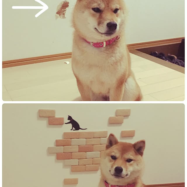 Miyuさんの実例写真