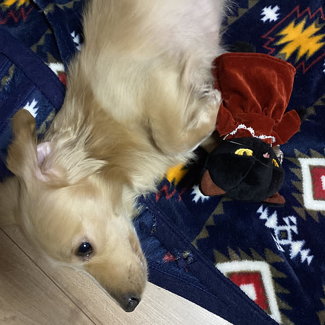 uninekoさんの実例写真