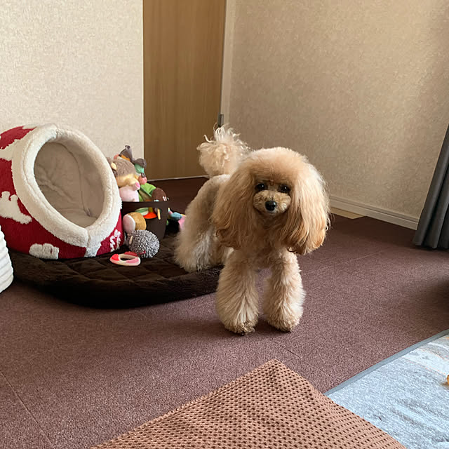 ROSEさんの実例写真