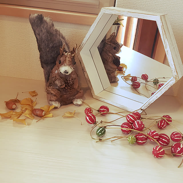 kkokkoさんの実例写真