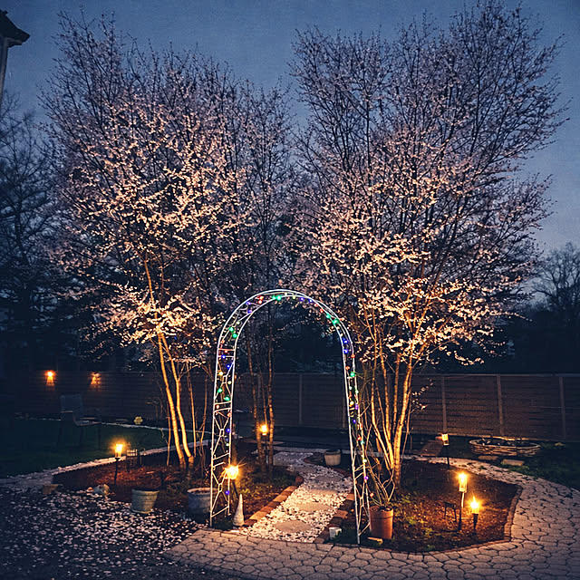 chanduさんの実例写真