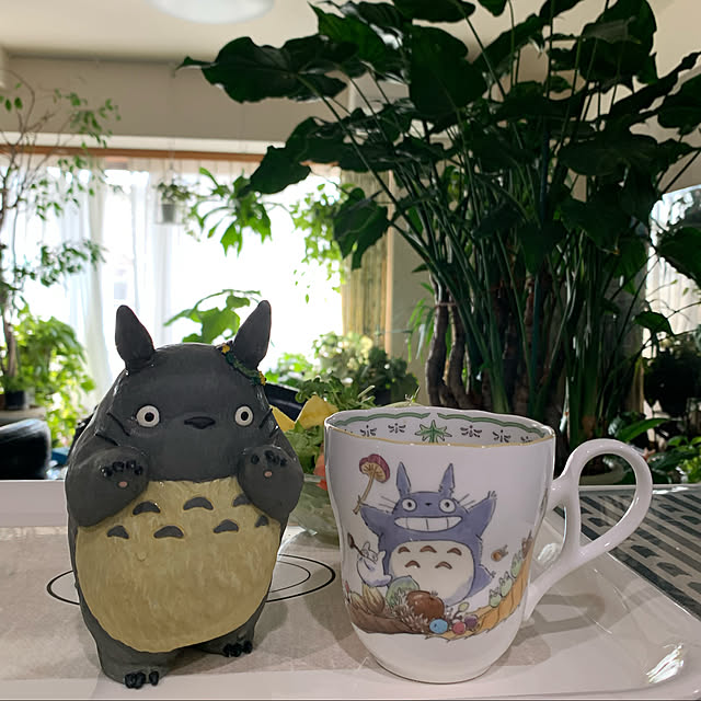Aqettyさんの実例写真