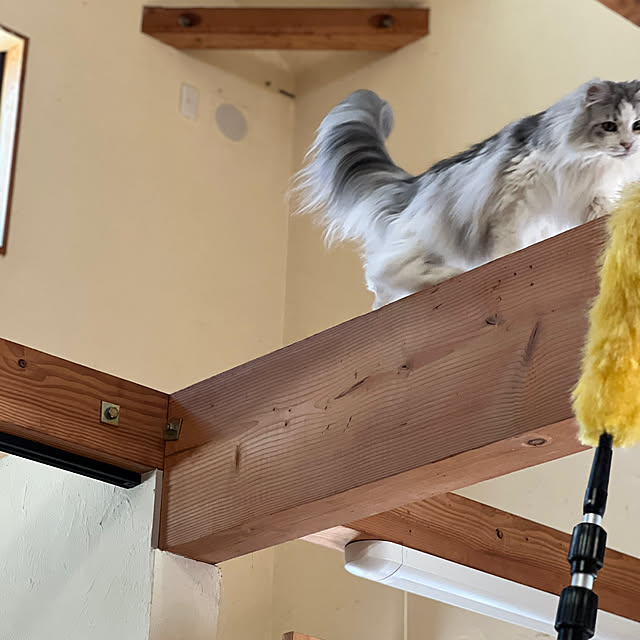 Kikko.さんの部屋