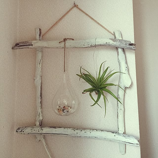 treetooopさんの実例写真