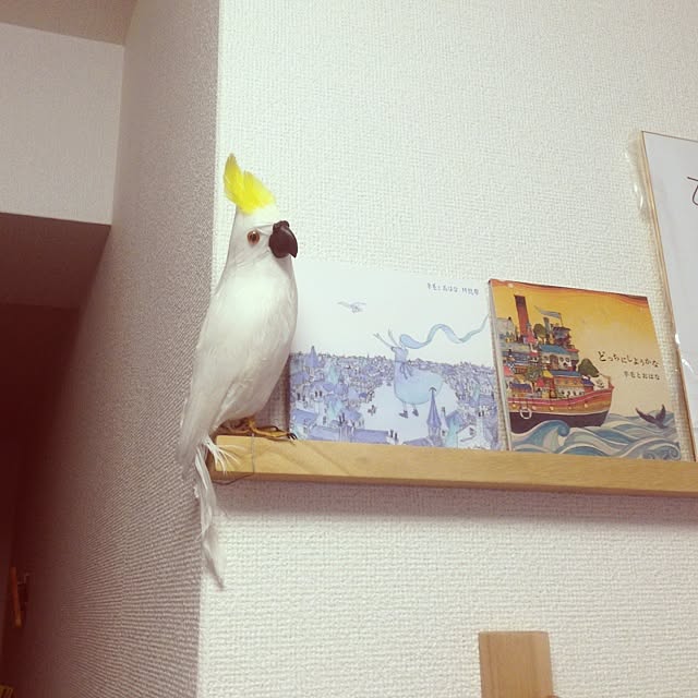 実例写真