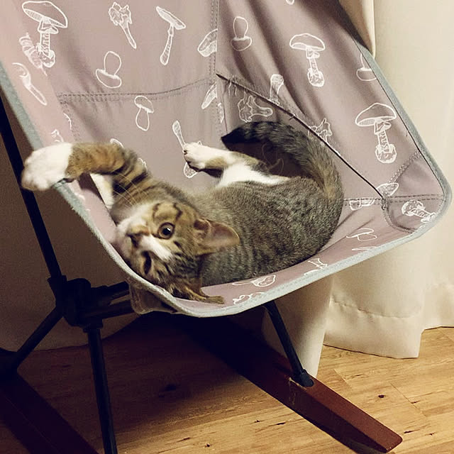 rioさんの部屋