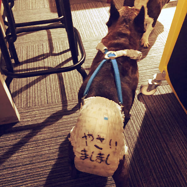 pecoさんの実例写真