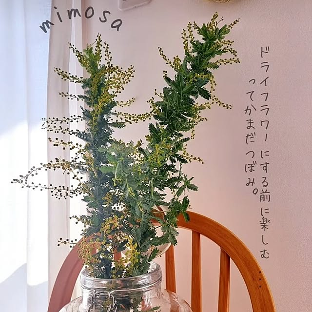 kankanmom_horn_5catsさんの実例写真