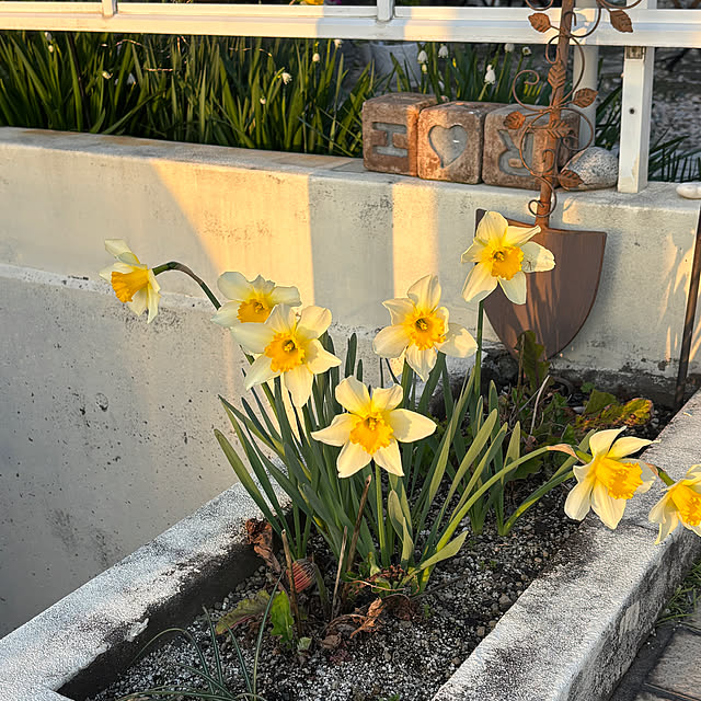 chIoeさんの部屋