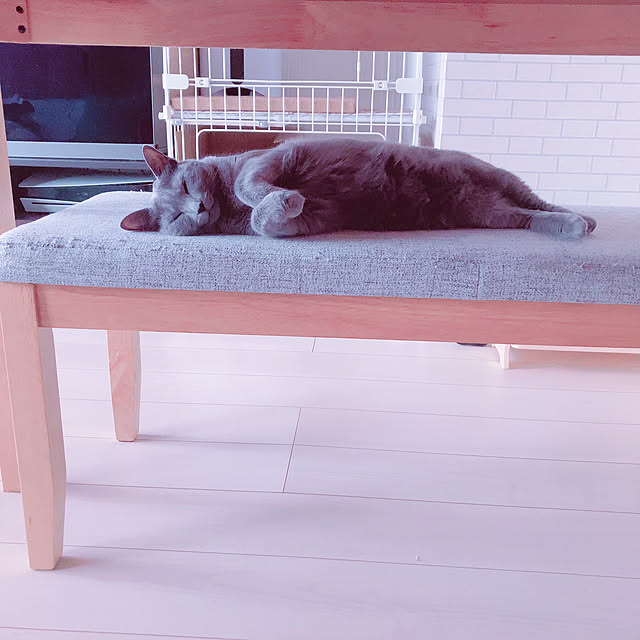 snoopyさんの部屋