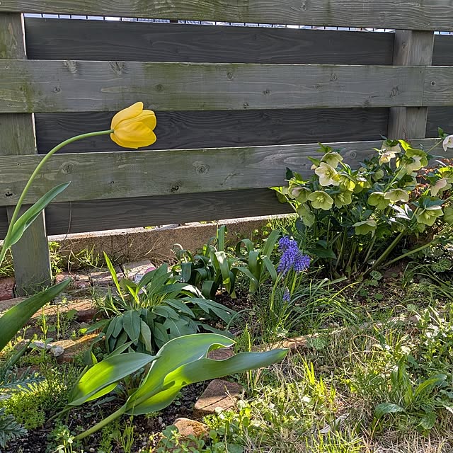 Ruii25さんの実例写真