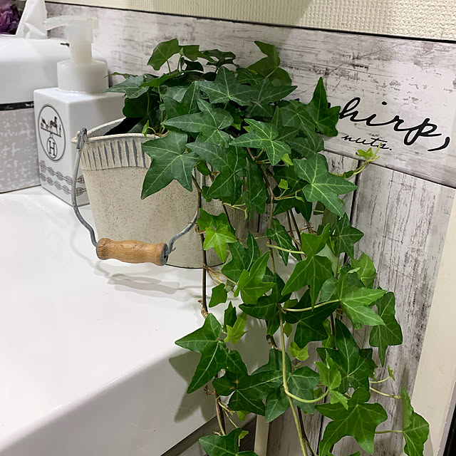 tomoさんの実例写真