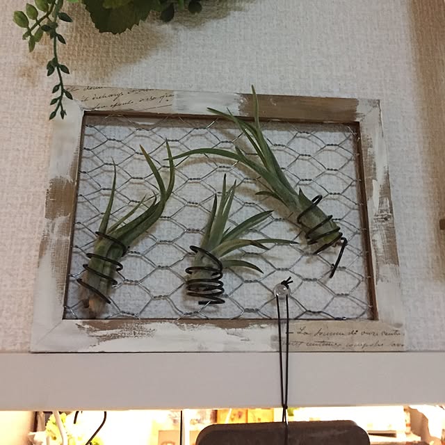 emiさんの実例写真