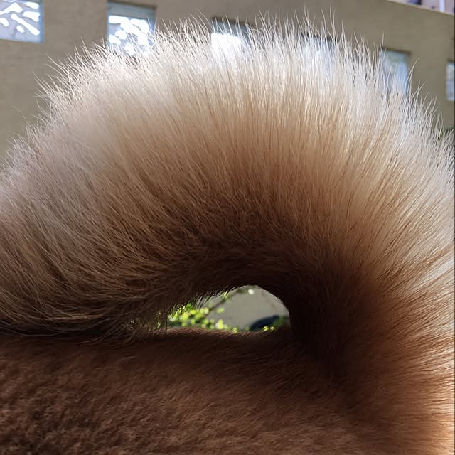 kotaさんの実例写真