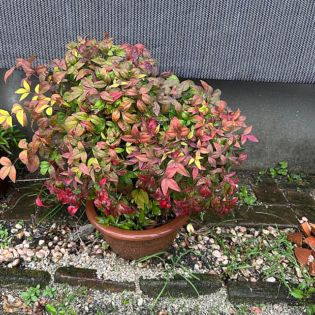 ritsukoさんの部屋