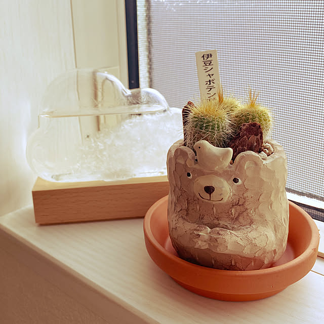 stereoさんの部屋