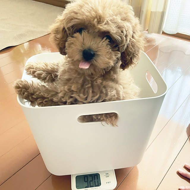 kawauso15さんの実例写真