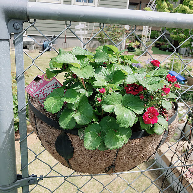 yukiminさんの実例写真